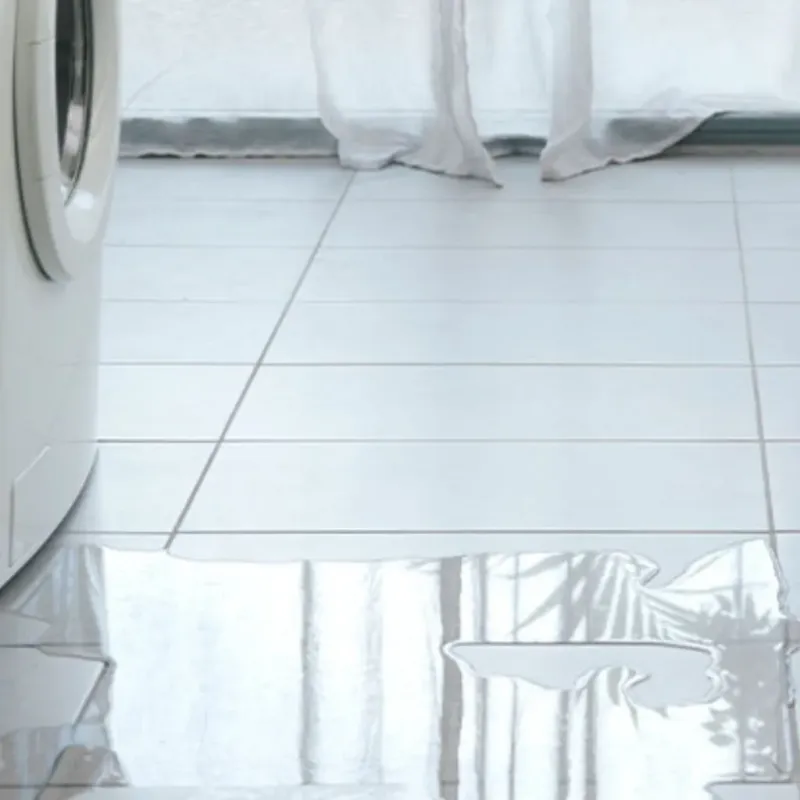 Appliance Leak Cleanup in Victor, NY