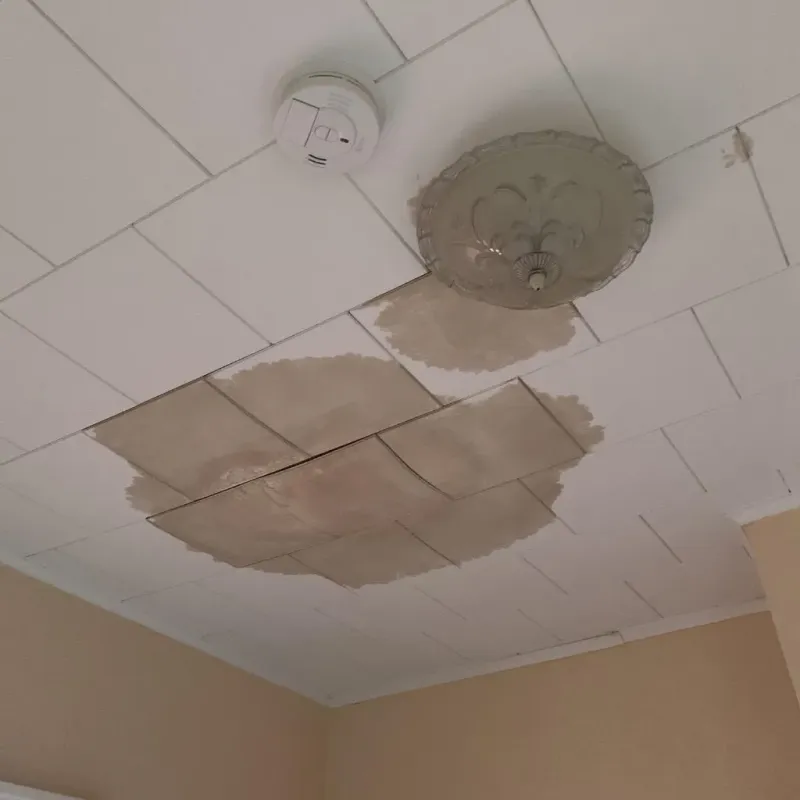 Ceiling Water Damage Repair in Victor, NY